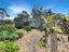 1174 Te Ahu Ahu Road, Oromahoe, Kerikeri - Carousel 19