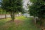 39 Queen Street, Dannevirke, Dannevirke - Carousel 11