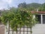 5 Amelia Crescent, Waikawa, Picton - Carousel 4
