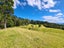 1702 Colville Road, Amodeo Bay, Coromandel - Carousel 20