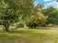 224 Pahautea Road, KAHUTARA - Carousel 21