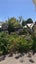 199 Halsey Drive, Lynfield, Auckland - Carousel 7