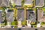 12 Yatterina Avenue, Takanini, Auckland - Carousel 3