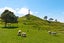 37F Brookfield Avenue, Onehunga, Auckland - Carousel 14