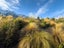 6A Kinross Lane, Jacks Point, Queenstown-Lakes, Otago - Carousel 16