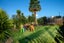 1/7 Nigel Road, Browns Bay, Auckland - Carousel 13