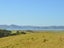 1742 South Head Road, Helensville - Carousel 12