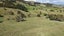 136 Whakahara Road, Arapohue, Dargaville - Carousel 24