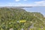 72 Wood Bay Road, Titirangi, Auckland - Carousel 30