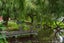 435 Pine Valley Road, Dairy Flat, Silverdale - Carousel 40