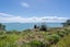 34 First View Avenue, Beachlands, Auckland - Carousel 8