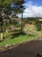 37 Coulter Road, Swanson, Auckland - Carousel 2