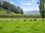 573 State Highway 1, Blenheim - Carousel 48