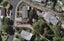 2A Valkyria Place, Beach Haven, Auckland - Carousel 2