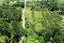 17A Darkies Terrace Road, Charleston, Cape Foulwind - Carousel 1