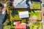 14 Mason Street, New Lynn, Auckland - Carousel 3