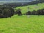 0 Tremain Road, Ruatangata West, Kamo - Carousel 27