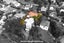 67A Reihana Street, Orakei, Auckland - Carousel 18