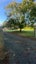 0 Pipiwai Road, Pipiwai, Whangarei - Carousel 7