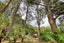 128 Settlement Road, Kaiwaka, Kaiwaka - Carousel 37