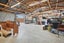 4 Pegasus Crescent, Motunau, Greta Valley - Carousel 18