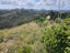 872 Bickerstaffe Road, Maungaturoto - Carousel 7