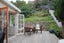 14 Faraday Street, Hospital Hill, Napier - Carousel 2