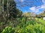 2225 Tiki Sh25 Road, PREECE POINT, COROMANDEL - Carousel 8