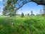0 Wards Line, Morison Bush, Greytown - Carousel 4