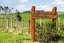 386 Martin Road, Waerenga, Te Kauwhata - Carousel 13