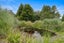 817A Whakapirau Road, Maungaturoto - Carousel 8
