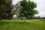 1555 Parnassus Road, Ferniehurst, Cheviot - Carousel 28