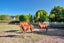 59A Goldflats Lane, Albany - Carousel 19