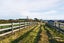 17 Chatfield Lane, AOKAUTERE - Carousel 3