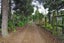10 Robertson Road, Whatawhata, Hamilton - Carousel 4