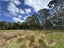 11 Mamari Road, Whenuapai, Auckland - Carousel 5