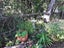 1/22 Neptune Avenue, Beach Haven, Auckland - Carousel 28