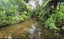 877 Tiki Quarry Road, Preece Point, Coromandel - Carousel 17