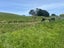 923 Oporae Road, Dannevirke - Carousel 21