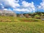 1344 State Highway 12, Oue, Kaikohe - Carousel 5