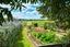 2086 State Highway 2, Maramarua, Pokeno - Carousel 20
