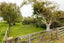 593 Aranui Road, Kairanga, Palmerston North - Carousel 28