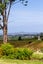 244 Lindemann Road, Tahawai, Katikati - Carousel 32