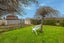 21 Hounslow Street, Ilam, Christchurch - Carousel 19