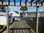 49 Frame Street, North East Valley, Dunedin - Carousel 12