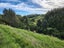 144 Ackworth Road, Lepperton, New Plymouth - Carousel 23