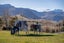 52 Threepwood Road, Lake Hayes, Queenstown - Carousel 11