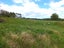 65 Glue Pot Road, Oropi, Tauranga - Carousel 28