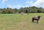80 Lovell Road, Whangarei - Carousel 24