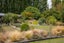 24 Blackman Avenue, Sawyers Bay, Port Chalmers - Carousel 24